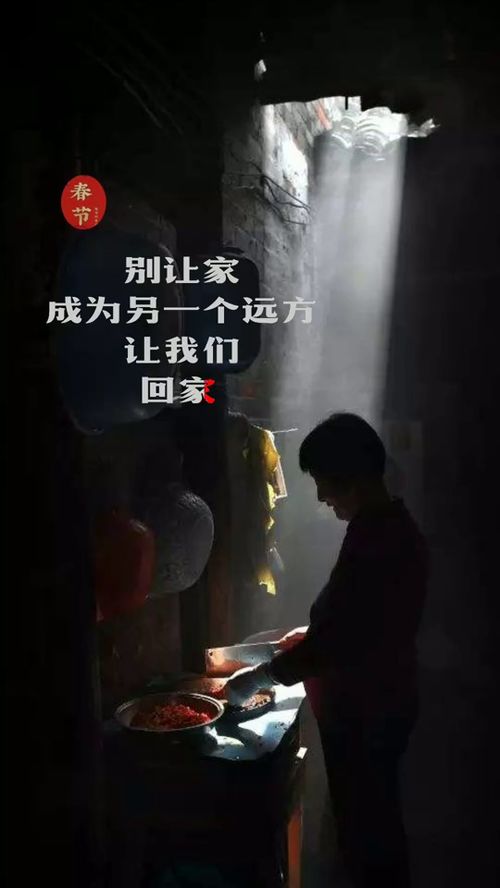 迷茫归途--第1张