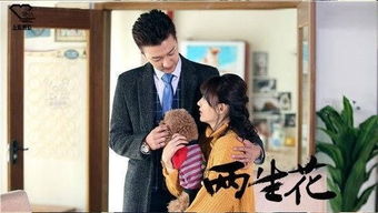 绯闻计划短剧全集，一场闹剧的背后真相--第1张