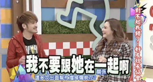 傅总离婚后倒贴，爱情与财富的较量--第1张