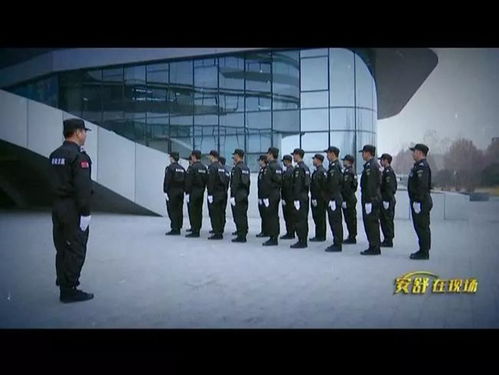 小保安的都市狂飙，全集剧情--第1张