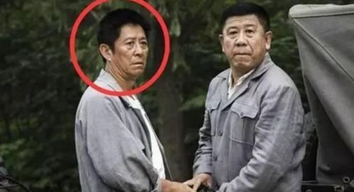 和平王短剧全集剧情之命运交织--第1张