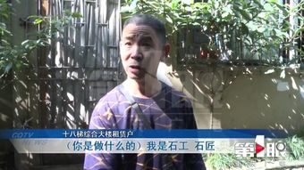 天降四宝，四个养父谁是亲爹地--第1张
