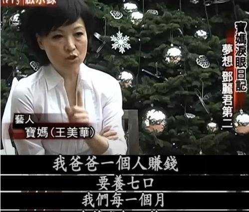 净身出户后我意外成为豪门团宠--第1张