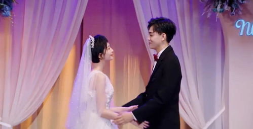 隐婚老公是豪门短剧全集剧情之爱情纠葛--第1张