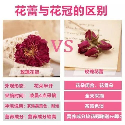 玫瑰冠冕，花冠之歌--第1张