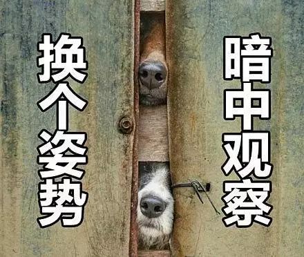 开局即巅峰舔狗之王开局被甩成为神豪大佬短剧全集剧情 开局即巅峰全文阅读--第1张