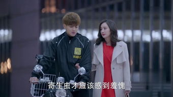 帝师傲龙短剧全集，傲龙传奇--第1张
