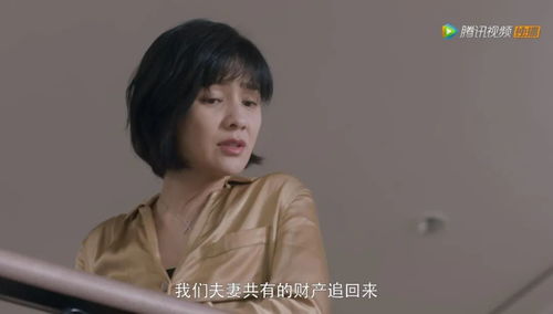裴总夫人说她不需要两个老公短剧全集剧情 裴夫人离婚了--第1张