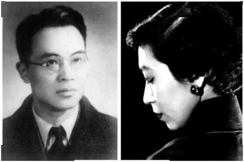 离婚后前夫哭着求复合短剧全集剧情--第1张
