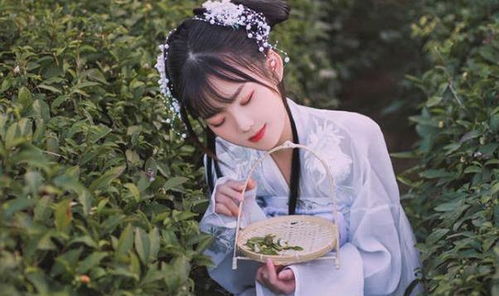平步青云离婚后我走上人生巅峰免费阅读剧情简介--第1张