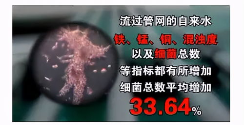 替身保镖说她不干了短剧全集剧情--第1张