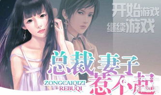 少帅别虐了夫人她惹不起短剧全集剧情介绍--第1张
