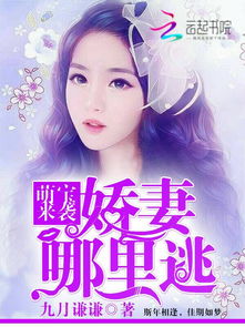 萌宝来袭厉少，萌宝来袭厉总宠妻无度全集剧情简介--第1张