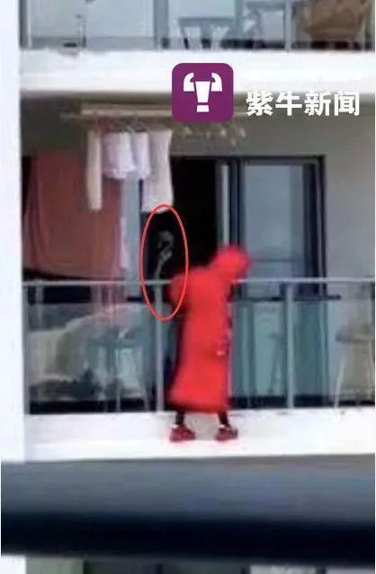 绝世神医，跳楼后的奇遇--第1张