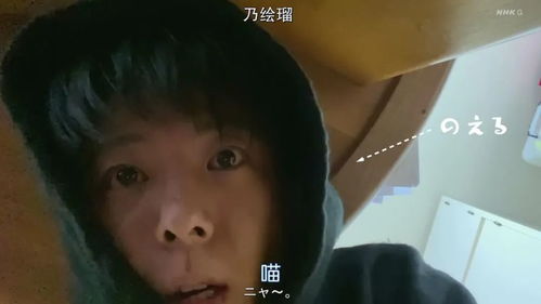 灵魂互换全集剧情，短剧电视剧版--第1张
