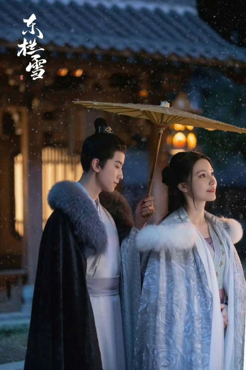 绝命婚姻，侯呈玥短剧全集剧情介绍视频--第1张