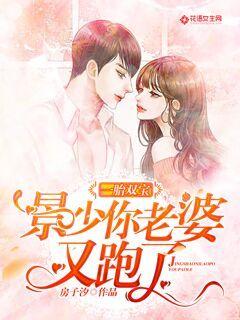 一胎双宝，夫人拒不复婚全集剧情介绍--第1张