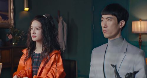 傅总蔷薇被盗疑云--第1张