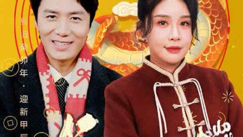 龙年大吉之衣锦还乡短剧全集剧情介绍--第1张