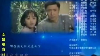 上门狂婿，狂暴赘婿--第1张