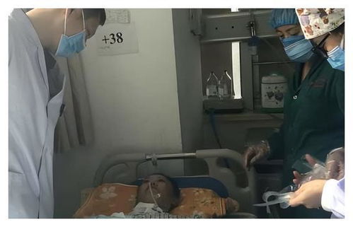 植物人妻子躺了13年，短剧巅峰全集剧情介绍--第1张