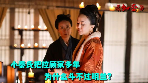 电视剧秦总 秦总，别装了！夫人已嫁到！短剧全集剧情介绍--第1张