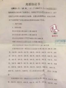 郁总离婚协议请签收短剧全集，郁总夫人送来离婚书--第1张