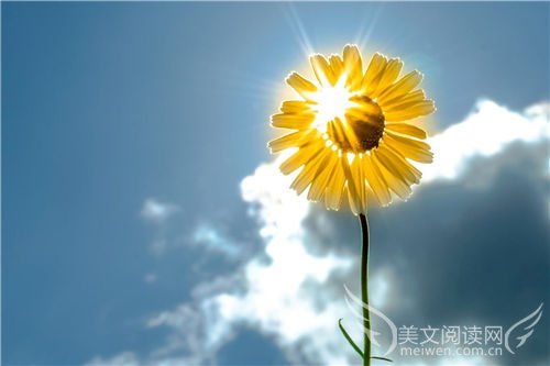 你是我眼里的一束光短剧全集剧情介绍 你是我眼里的一束光短剧全集剧情介绍--第1张