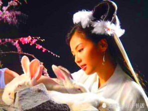 嫦娥下凡间 嫦娥下凡做娇妻短剧全集剧情介绍--第1张