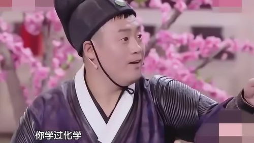 我在古代当王爷最新章节 我在古代当侍卫短剧全集剧情介绍--第1张