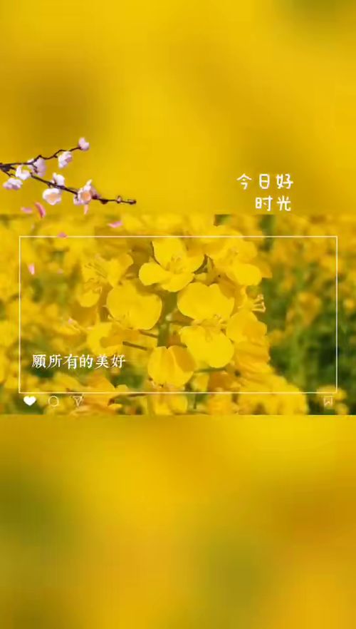 时光静待花开短剧全集剧情介绍--第1张