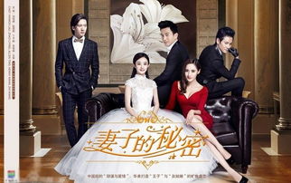 慕少娇妻的秘密全集剧情介绍--第1张
