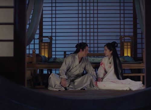 一胎双宝，夫人拒不复婚全集剧情介绍-一胎双宝夫人逃不掉的婚姻--第1张