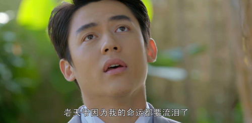沈总别虐了夫人她没了短剧全集剧情介绍百度云 沈总，别虐了！夫人她没了短剧全集剧情介绍--第1张