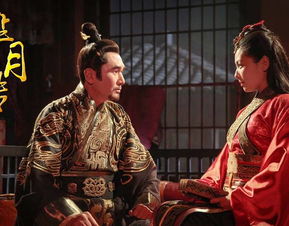 重生之大武帝婿短剧全集剧情介绍大全 重生之大武帝婿短剧全集剧情介绍--第1张
