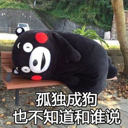 踹掉渣男后豪门阔少团宠我--第1张