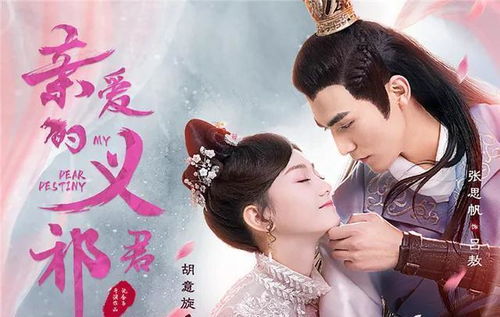 狂妃之傻王我来宠短剧全集剧情介绍 狂妃之傻王我来宠短剧全集剧情介绍大结局--第1张