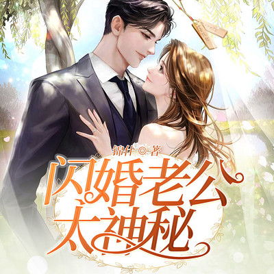 我的闪婚老公是总裁 我的闪婚老公是豪门短剧全集剧情介绍--第1张