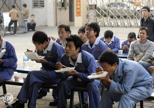 西莞打工人短剧全集剧情介绍 东莞工厂打工人视频--第1张