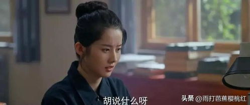 重生之沸腾人生短剧全集剧情介绍 重生之沸腾人生短剧全集剧情介绍视频--第1张