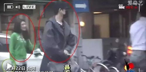 霍先生你老婆不想公开免费阅读 霍先生，你老婆又跑了--第1张