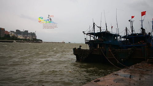 狂风海浪图片 狂海风云短剧全集剧情介绍--第1张