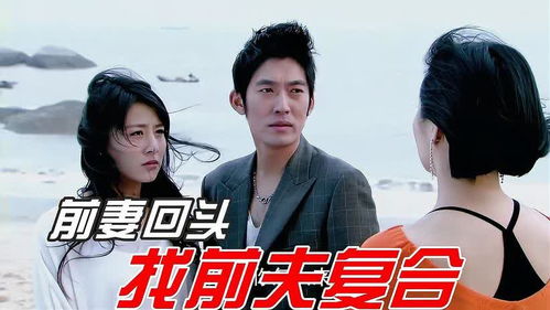 离婚后前夫日日求复合，离婚后前夫找我复合小说全集剧情介绍--第1张