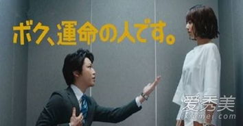 我不是拳王短剧全集剧情介绍大结局 我不是拳王短剧全集剧情介绍--第1张