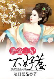 穿越王妃不好惹短剧全集剧情介绍，穿越奇缘--第1张