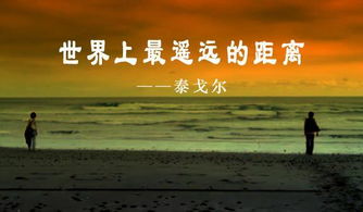 世界上最遥远的距离短剧全集，爱情与距离的较量--第1张