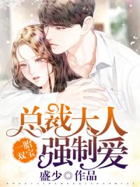 天降双宝，总裁娇宠小甜妻剧情介绍--第1张