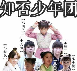 你是迟来的欢喜短剧分集剧情介绍--第1张