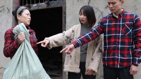 闪婚老公竟是总裁 闪婚老公竟是我上司短剧全集剧情介绍--第1张