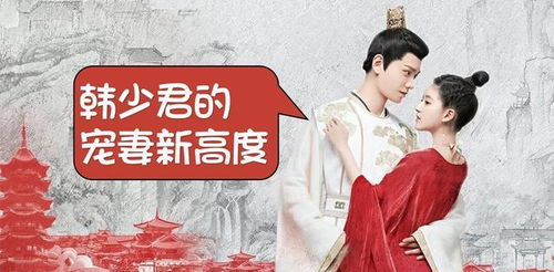 少城主少君是什么电视 少城主的心尖宠短剧全集剧情介绍--第1张